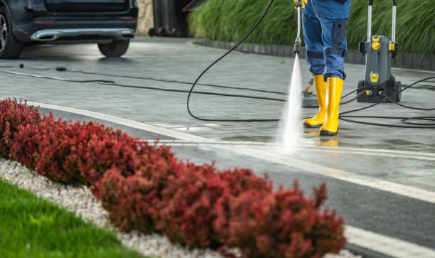 Best Driveway Pressure Washing  in Ingram, TX